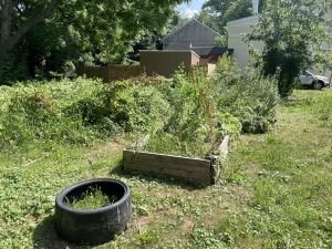 Garden at plot of land. (GIH | Dashiell Allen)